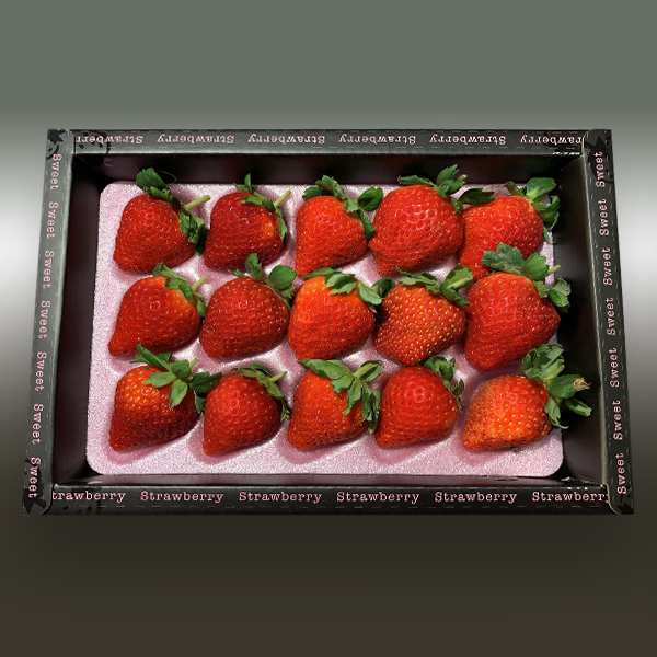 15顆裝有機草莓(2盒)