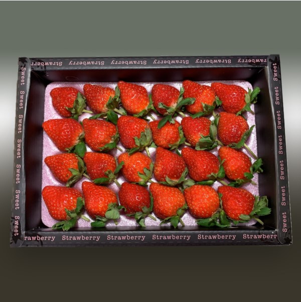 24顆裝有機草莓-散裝(8盒)